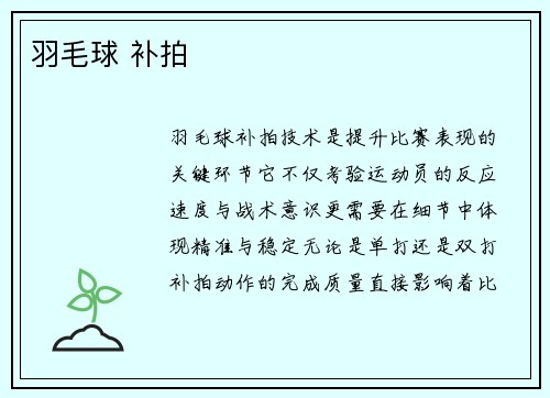 羽毛球 补拍