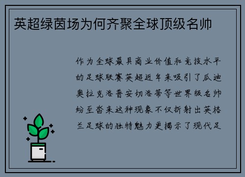 英超绿茵场为何齐聚全球顶级名帅
